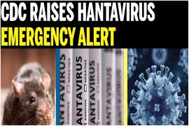 CDC Declares Hantavirus Outbreak a Level-3 Emergency Response